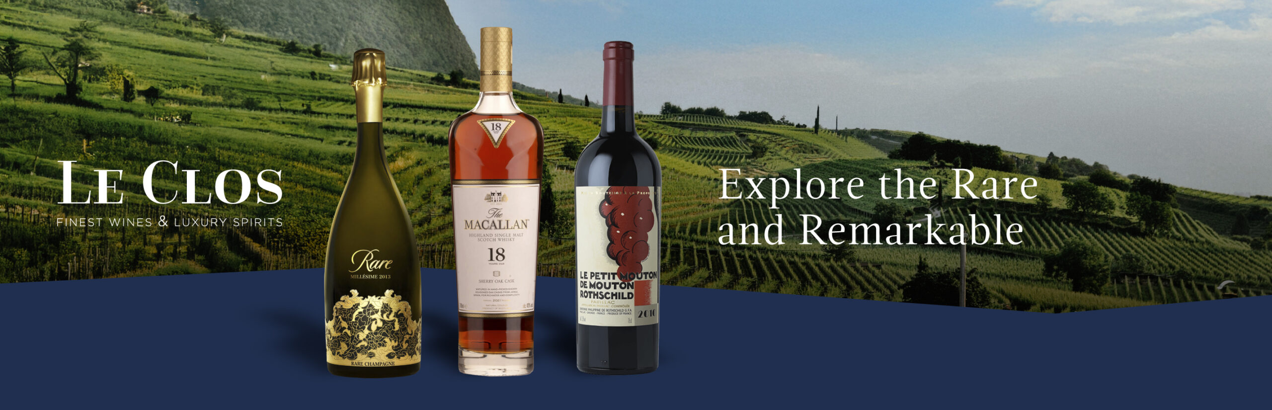 Infinite cellar_BANNER-02